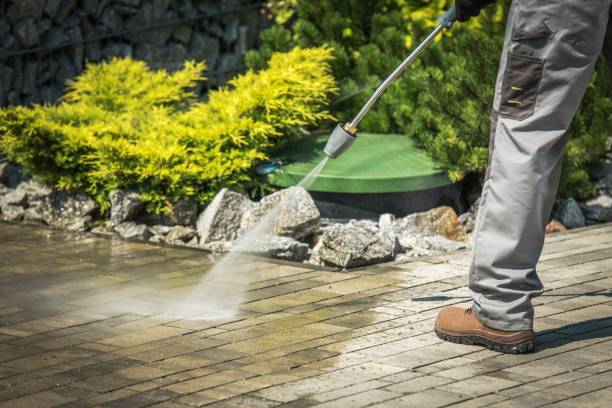 Best Parking Lot and Garage Cleaning  in Tiptonville, TN