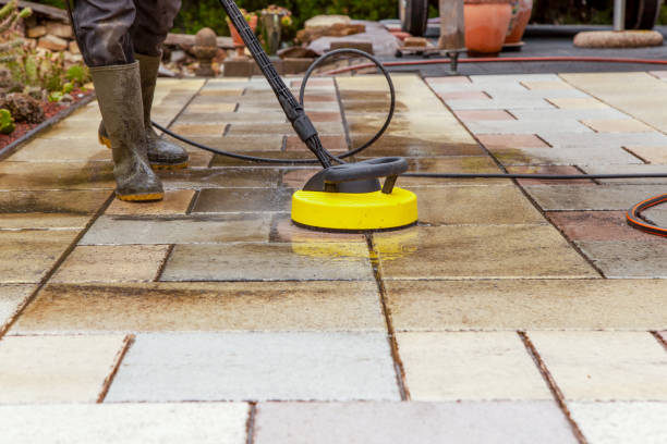 Best Playground Equipment Cleaning  in Tiptonville, TN