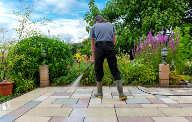 Professional  Pressure Washing Services in Tiptonville, TN