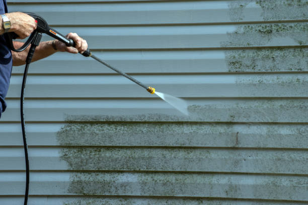 Best Building Exterior Washing  in Tiptonville, TN