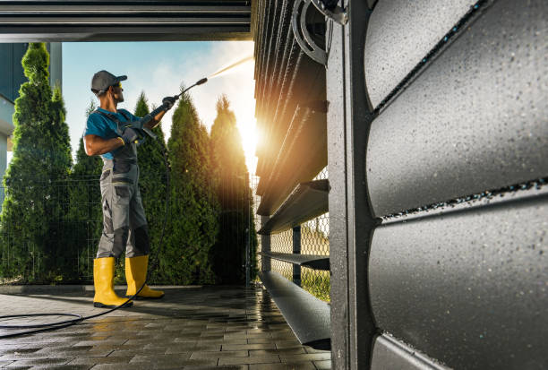 Best Driveway Pressure Washing  in Tiptonville, TN
